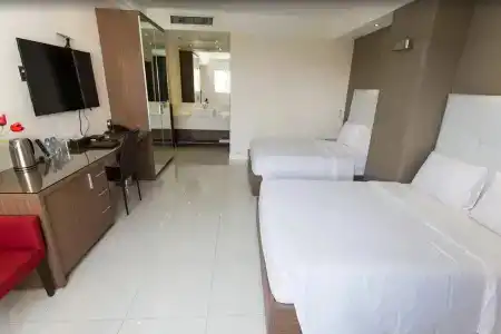 The Luxe - 46