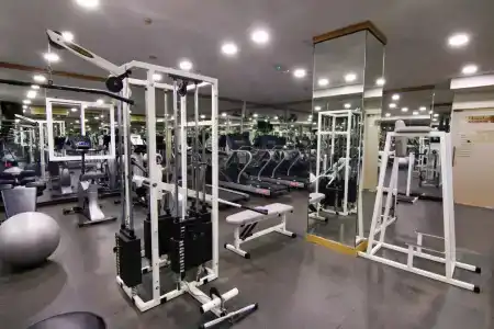Majan Continental - 20