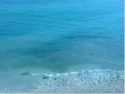 Royal Saranda - 16