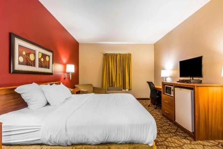 Quality Inn & Suites Chesterfield Village - 26