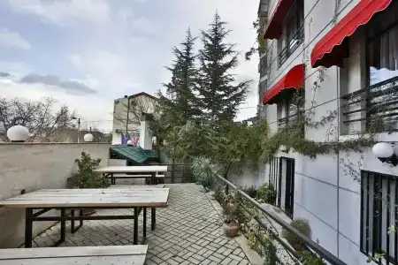 Шардоне - 14