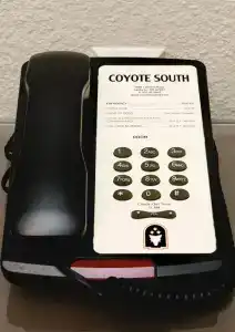 Coyote South - 83
