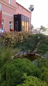 Senimo - 8