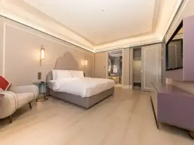 Mercure Xi'an Dayan Pagoda - 89