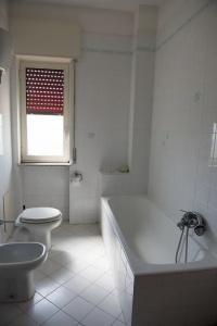 Area Domus - 47