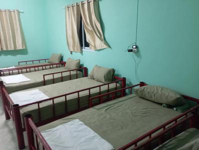 Phangan Arena Hostel - 14