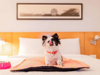ibis Chennai City Centre - An Accor Brand - 2
