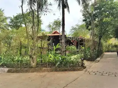 Phu Quoc Eco Beach Resort - 29