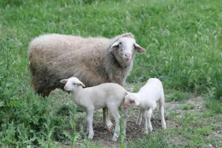 Agriturismo Cantagalli - 46