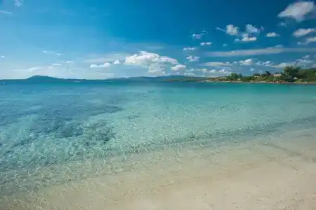 The Pelican Beach Resort & Spa - Adults Only - 10