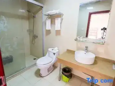 Puqing Business - 55