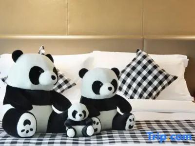 Chongqing Empark Grand - 21