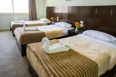 Swiss Inn Mohandeseen - 73