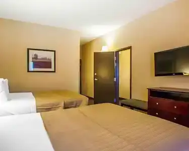 Quality Inn & Suites - 45
