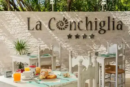 Ristorante La Conchiglia - 12