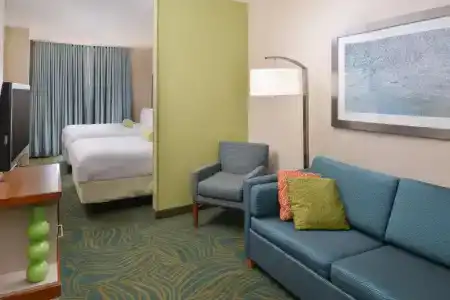 SpringHill Suites by Marriott Charleston Riverview - 71