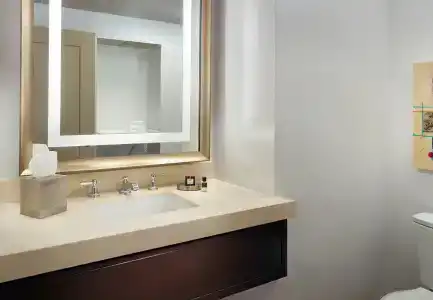 Omni Dallas - 49