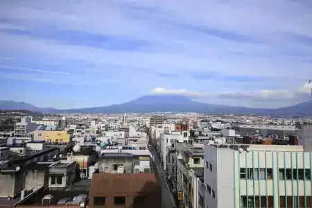 Fuji Green - 17
