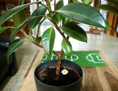 Sleepy Lion Hostel, Youth &  Leipzig - 45