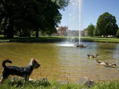 Uno Am Schlosspark - 12