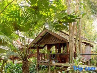 Khaosok Riverside Cottages - 106