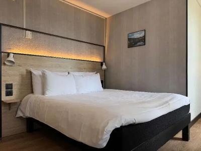 ibis Limoges Centre - 78