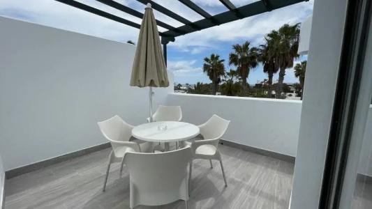 Palmeras Garden - 123