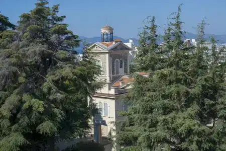 La Bastide de l'Oliveraie - 0