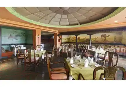 Bar Peepal - 24