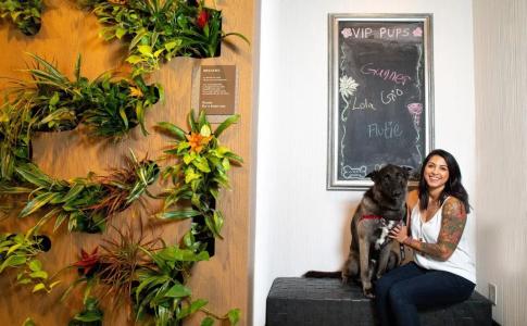 The Westin Austin Downtown - 24