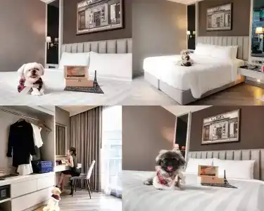 The Quartier Bangkok by Compass Hospitality - 42
