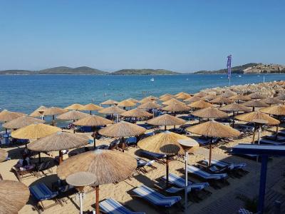 The Blue and Beach - 16