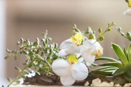 Villa Orselina - Small Luxury - 34