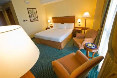 Mercure Leonardo da Vinci Rome Airport - 38