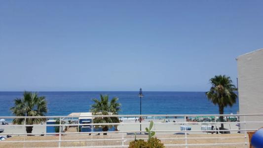 Scilla Sirene - 8