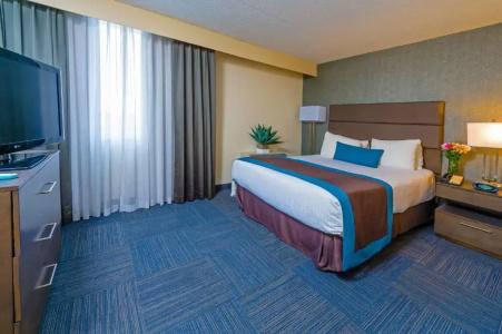 Best Western Plus Toronto Airport - 80