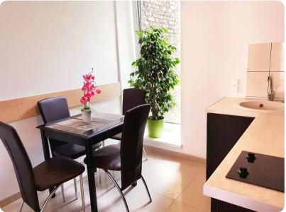 Vivulskio Apart-Hotel - 19