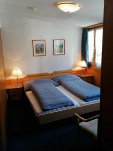 Petit Helvetia Budget - 3