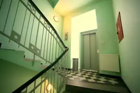 Leon - 8