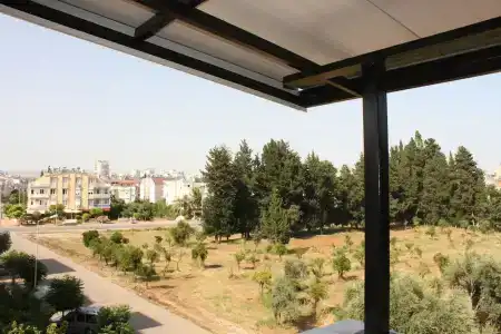 Anatolia - 66