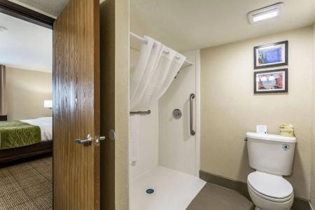 Comfort Inn & Suites Downtown - 9