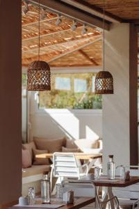 Ampelia Studios - 6