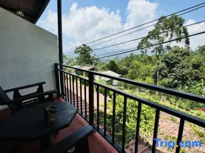 The Ella Nature Life Guest Inn - 63