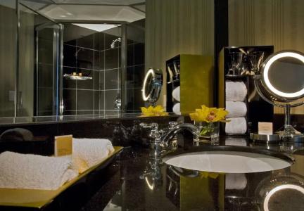 Grand Hyatt Dfw Airport - 27