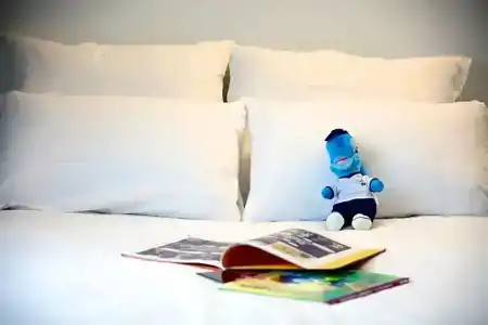 Novotel Lille Centre Grand Place - 68