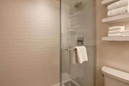 Hampton Inn & Suites by Hilton-Airport - 80