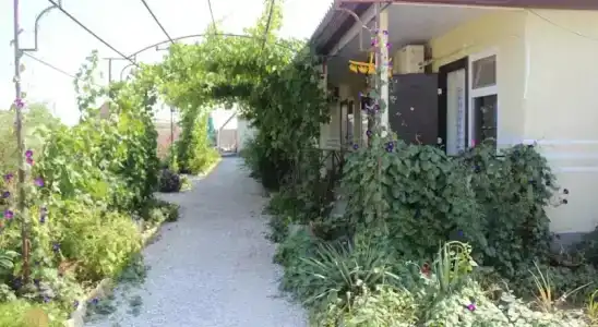 Бумеранг - 7