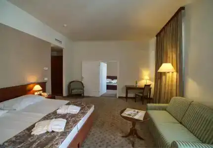 Grand Rogaska - 78