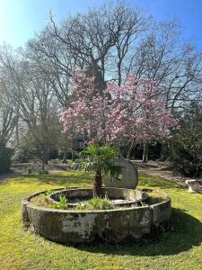 Manoir Du Parc (Adults only) - 76