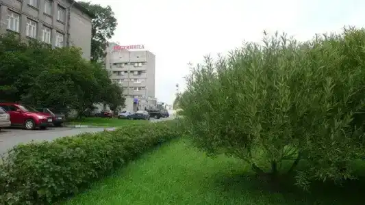 Нива-СВ - 11
